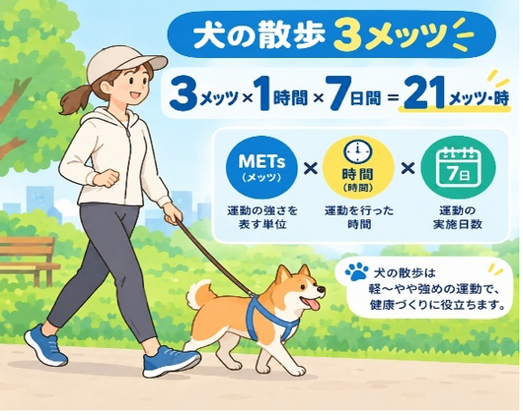 Aさんの例：犬の散歩3メッツ × 1時間 × 7日間 = 21メッツ・時
